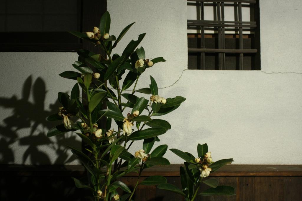 Osaka Guest House Drummer'S Dream Sakai  Camera foto